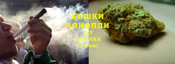 стаф Вяземский