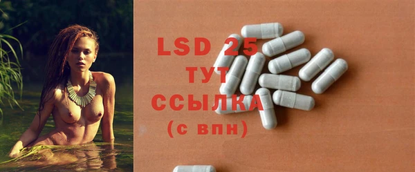 стаф Вяземский