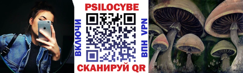 что такое   мега как войти  Псилоцибиновые грибы ЛСД  Мещовск 